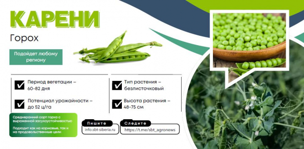 КАРЕНИ