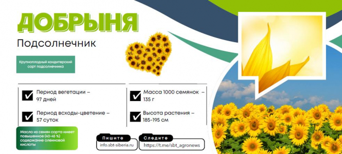 ДОБРЫНЯ