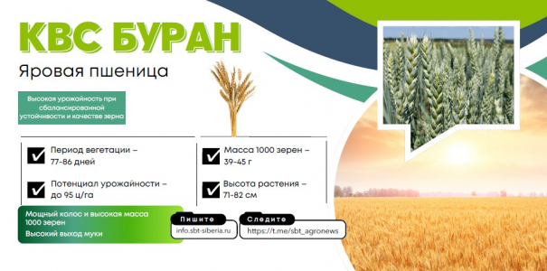 БУРАН