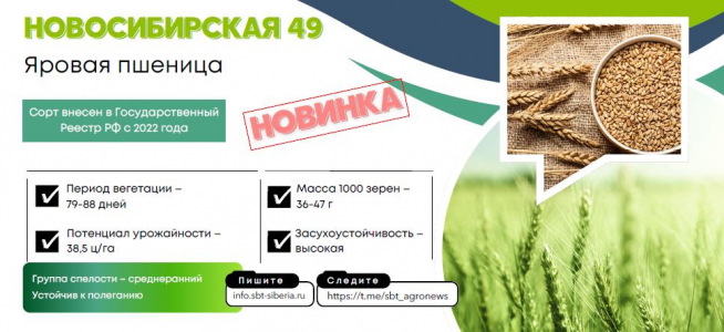 НОВОСИБИРСКАЯ 49