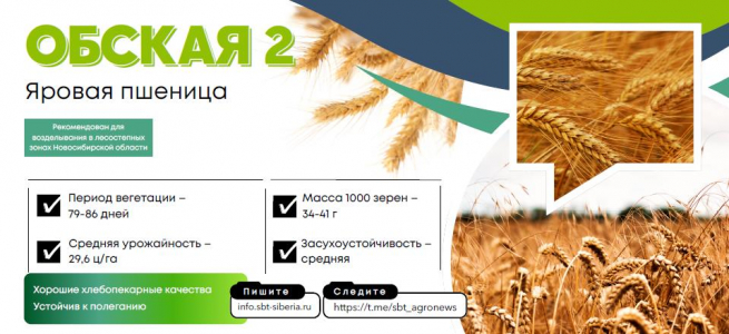 ОБСКАЯ 2
